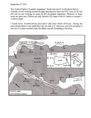 Media type: image; Malacology 380014